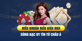 Giới thiệu về Điều Khoản và Điều Kiện BK8
