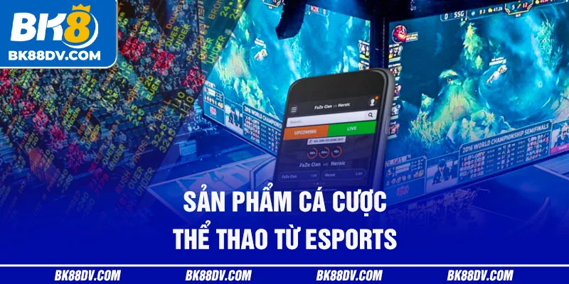 Sản phẩm cá cược thể thao từ eSports Sản phẩm cá cược thể thao từ eSports